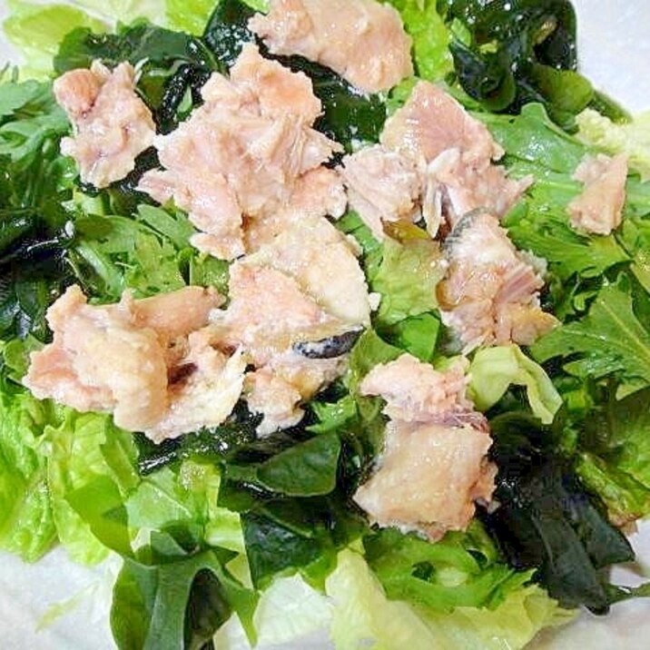 鮭の中骨缶とわかめ春菊レタスのサラダ